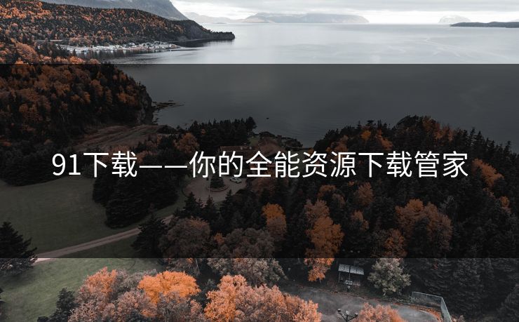 91下载——你的全能资源下载管家