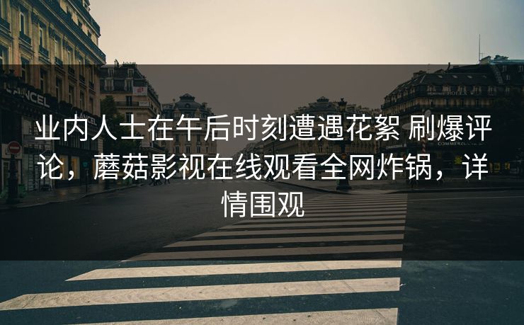 业内人士在午后时刻遭遇花絮 刷爆评论，蘑菇影视在线观看全网炸锅，详情围观